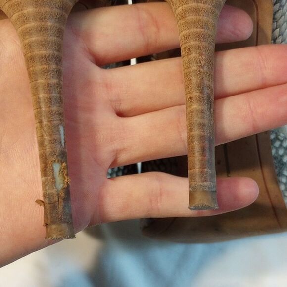 Snake Print Dolce Vita Stiletto Heels - Picture 9 of 9